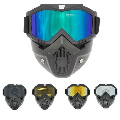 Motorcycle Goggles with Removable Full Face Mask (Random Glass Shade)