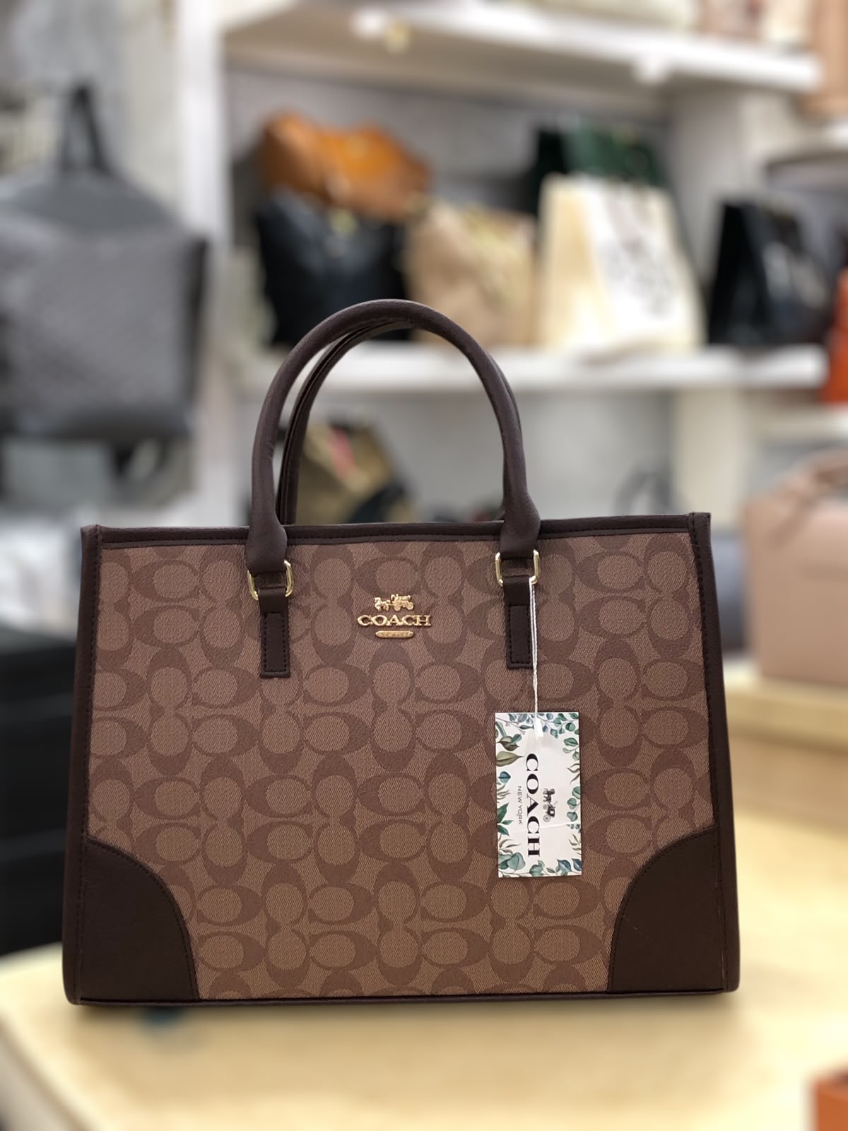 Coach Signature Print Tote Bag for Women | Double Top Handles Design